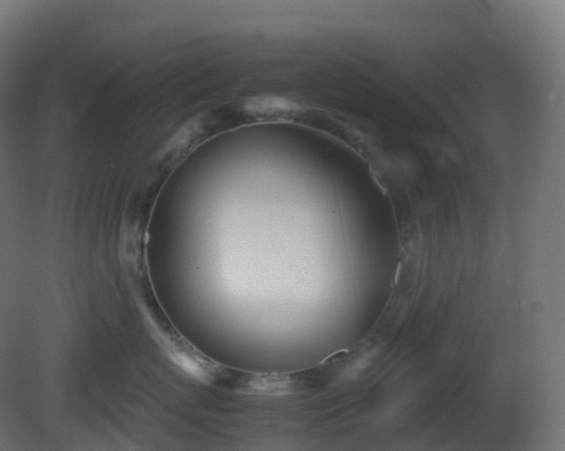 X0000081410767200701121209