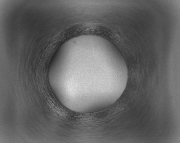 X0000081410769200701121208