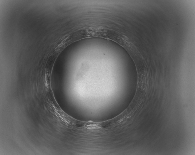 X0000081410770200701121208