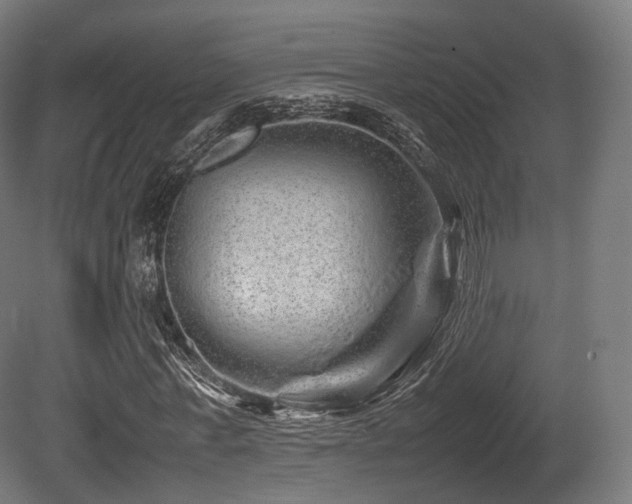 X0000081410771200701121208