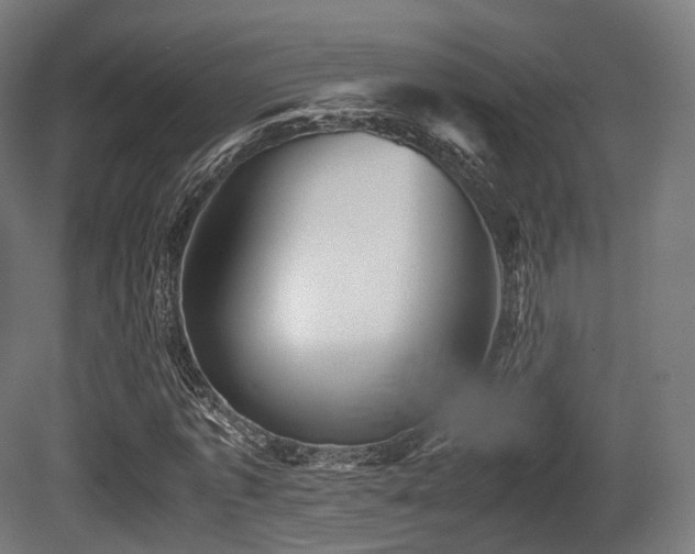 X0000081410773200701121208