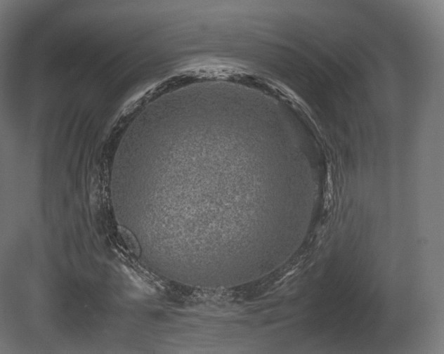 X0000081410775200701121208