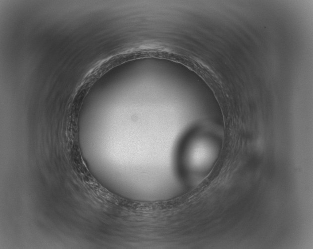 X0000081410776200701121208