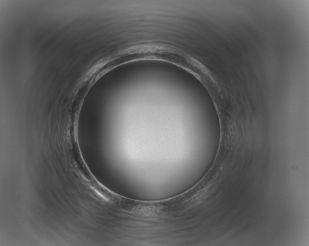 X0000081410778200701121208