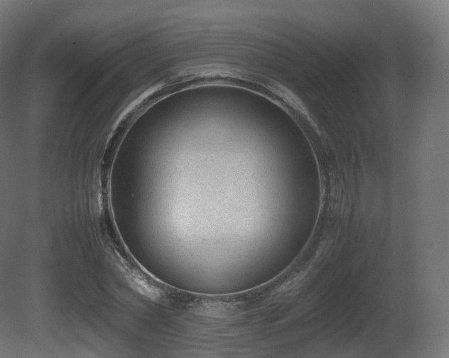 X0000081410782200701121208