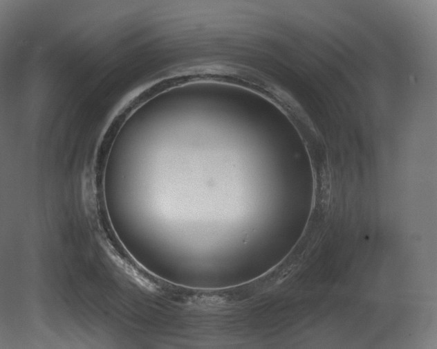 X0000081410784200701121208