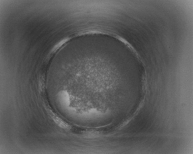 X0000081410785200701121208