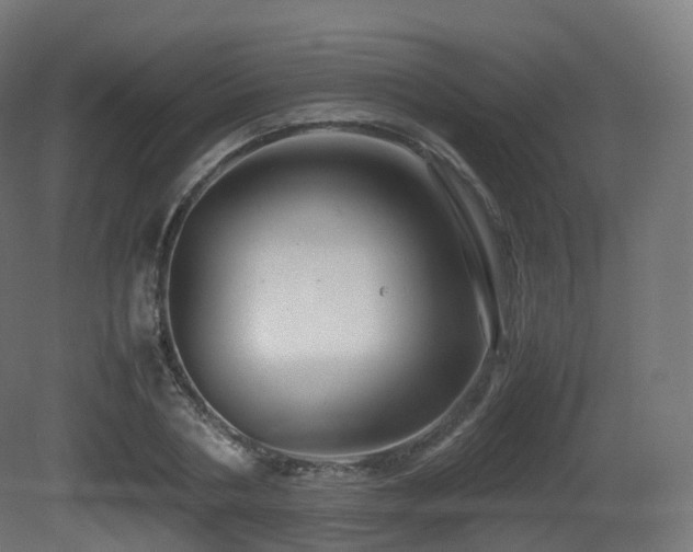 X0000081410786200701121208
