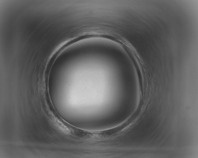 X0000081410787200701121208