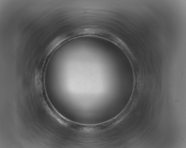 X0000081410794200701121208
