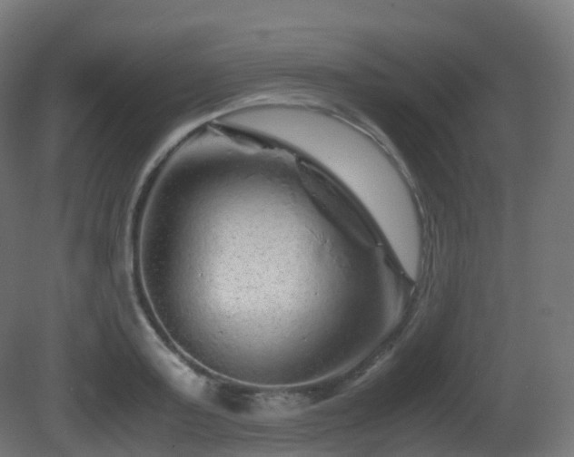 X0000081410795200701121208