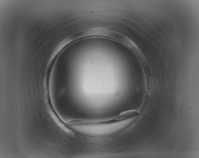X0000081410796200701121208