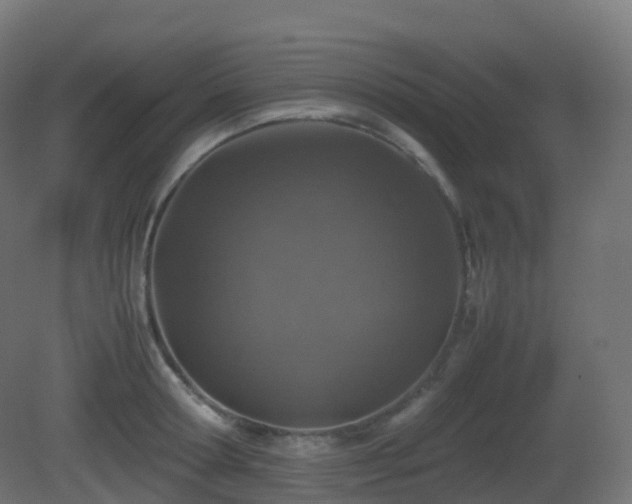 X0000081410802200701121208