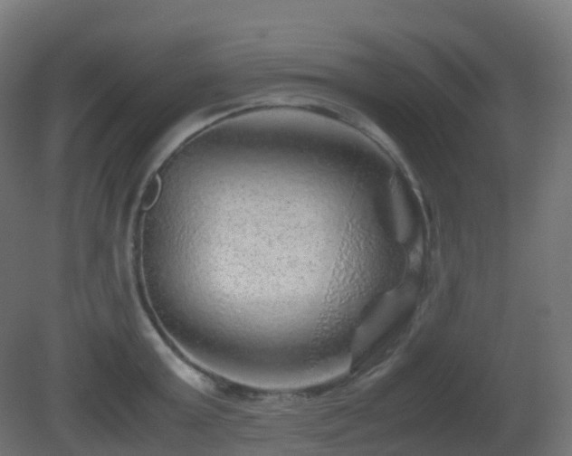 X0000081410803200701121208