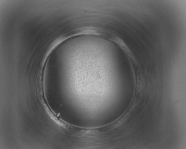 X0000081410808200701121207