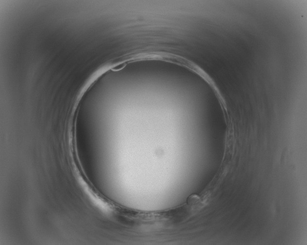 X0000081410811200701121207