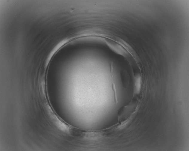 X0000081410812200701121207