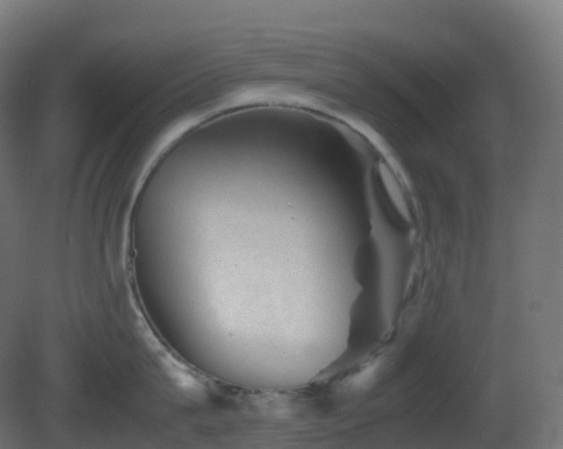 X0000081410815200701121207