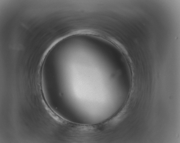 X0000081410816200701121207