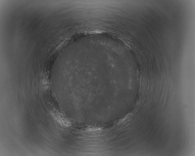 X0000081410818200701121207