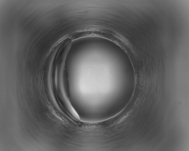 X0000081410826200701121207