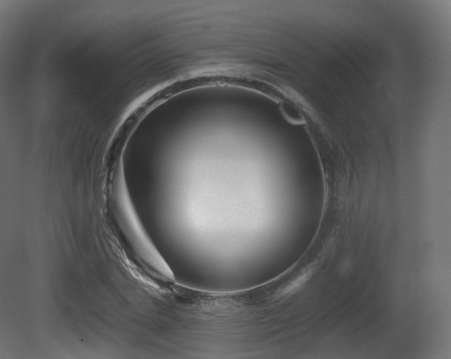 X0000081410830200701121207
