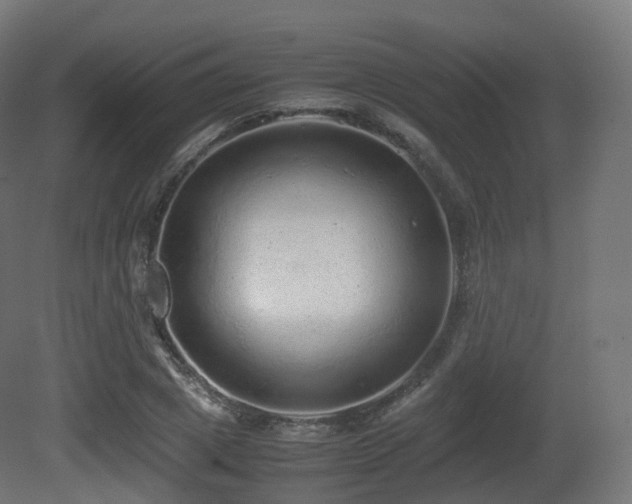 X0000081410833200701121207