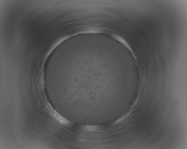X0000081410835200701121207