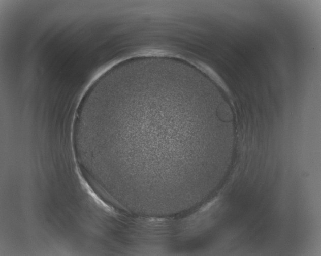 X0000081410839200701121207