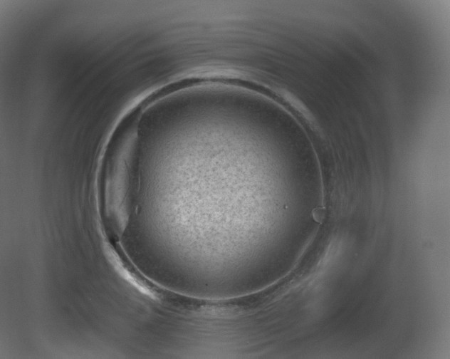 X0000081410840200701121207