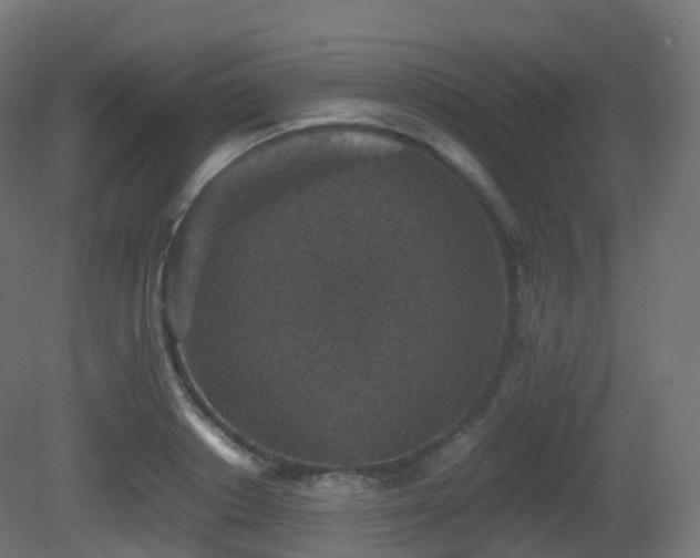 X0000081410842200701121207