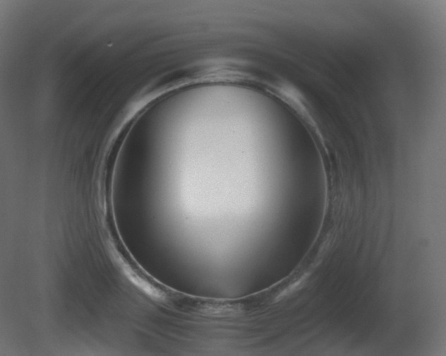 X0000081410843200701121207