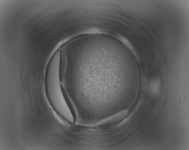 X0000081410845200701121207
