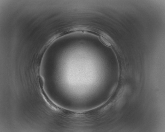 X0000081410849200701121207