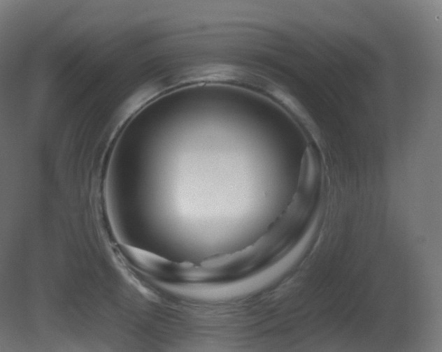 X0000081410850200701121207