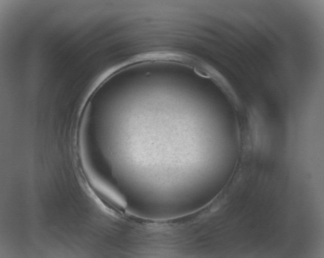 X0000081410852200701121207