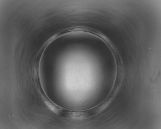 X0000081410857200701121207