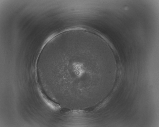 X0000081410858200701121207