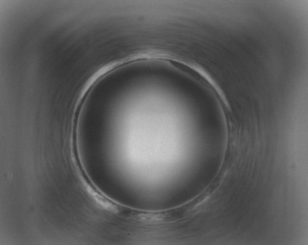 X0000081410861200701121207