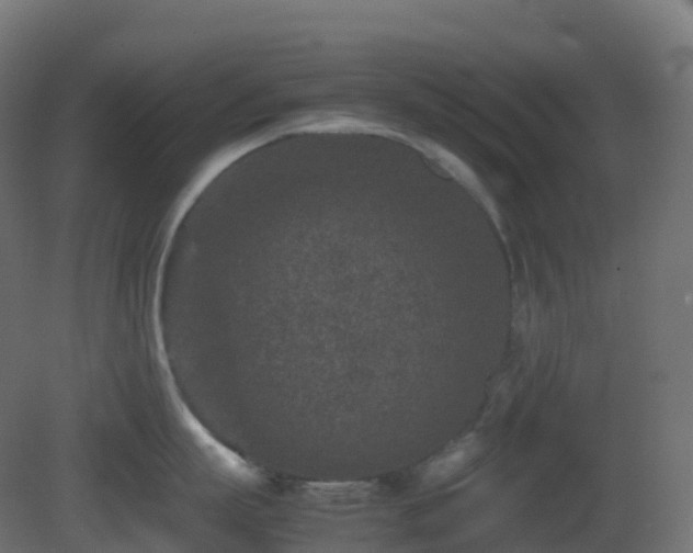 X0000081410863200701121207