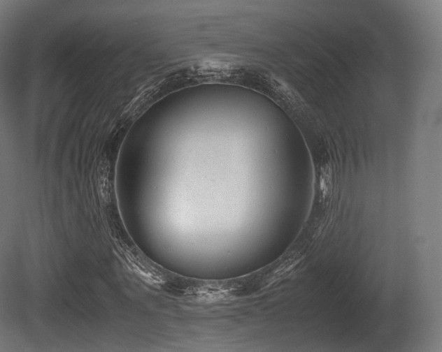 X0000081410867200701121206