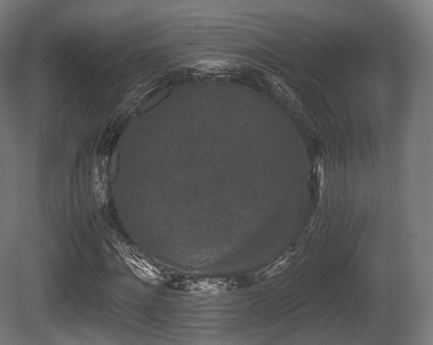X0000081410868200701121206