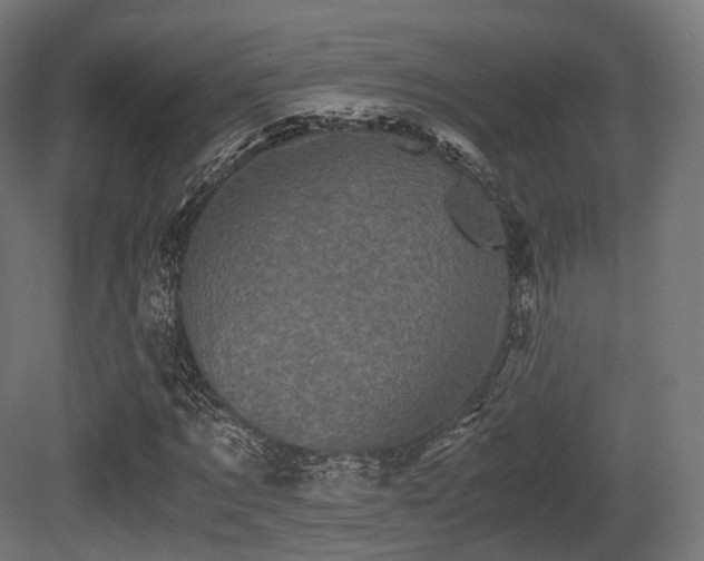 X0000081410869200701121206