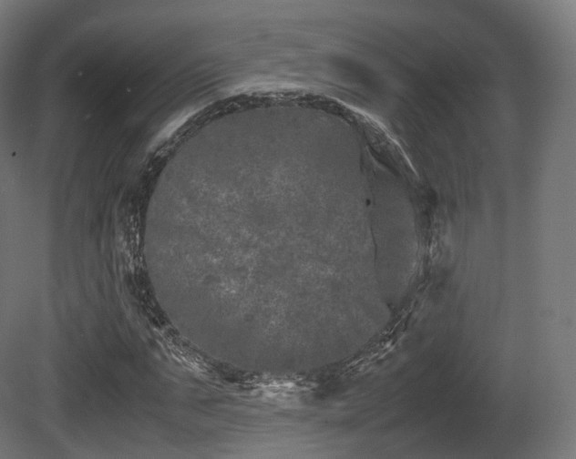 X0000081410871200701121206