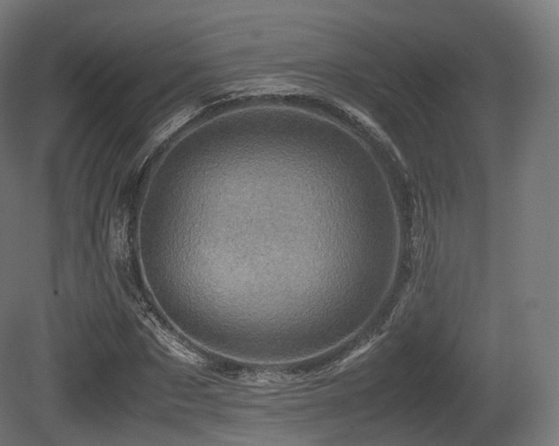 X0000081410873200701121206