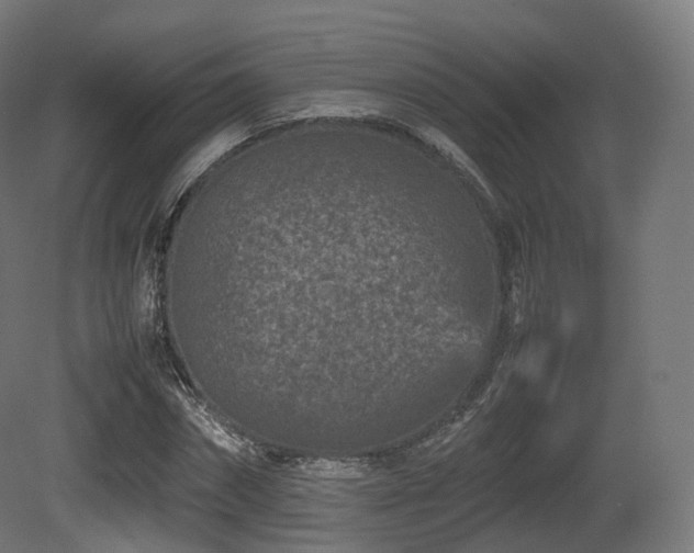 X0000081410874200701121206