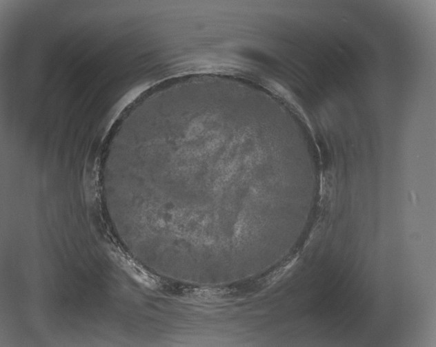 X0000081410875200701121206