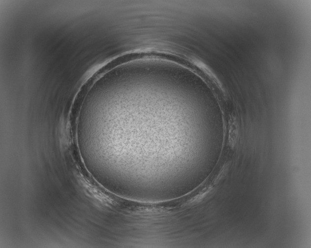 X0000081410876200701121206