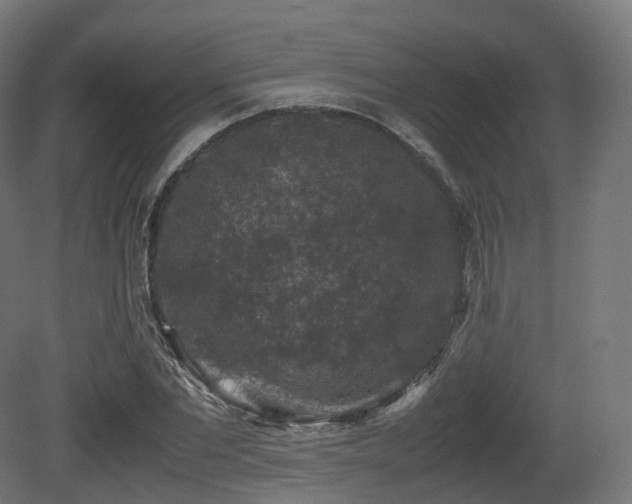 X0000081410877200701121206