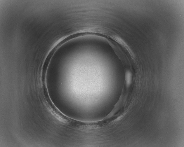 X0000081410884200701121206